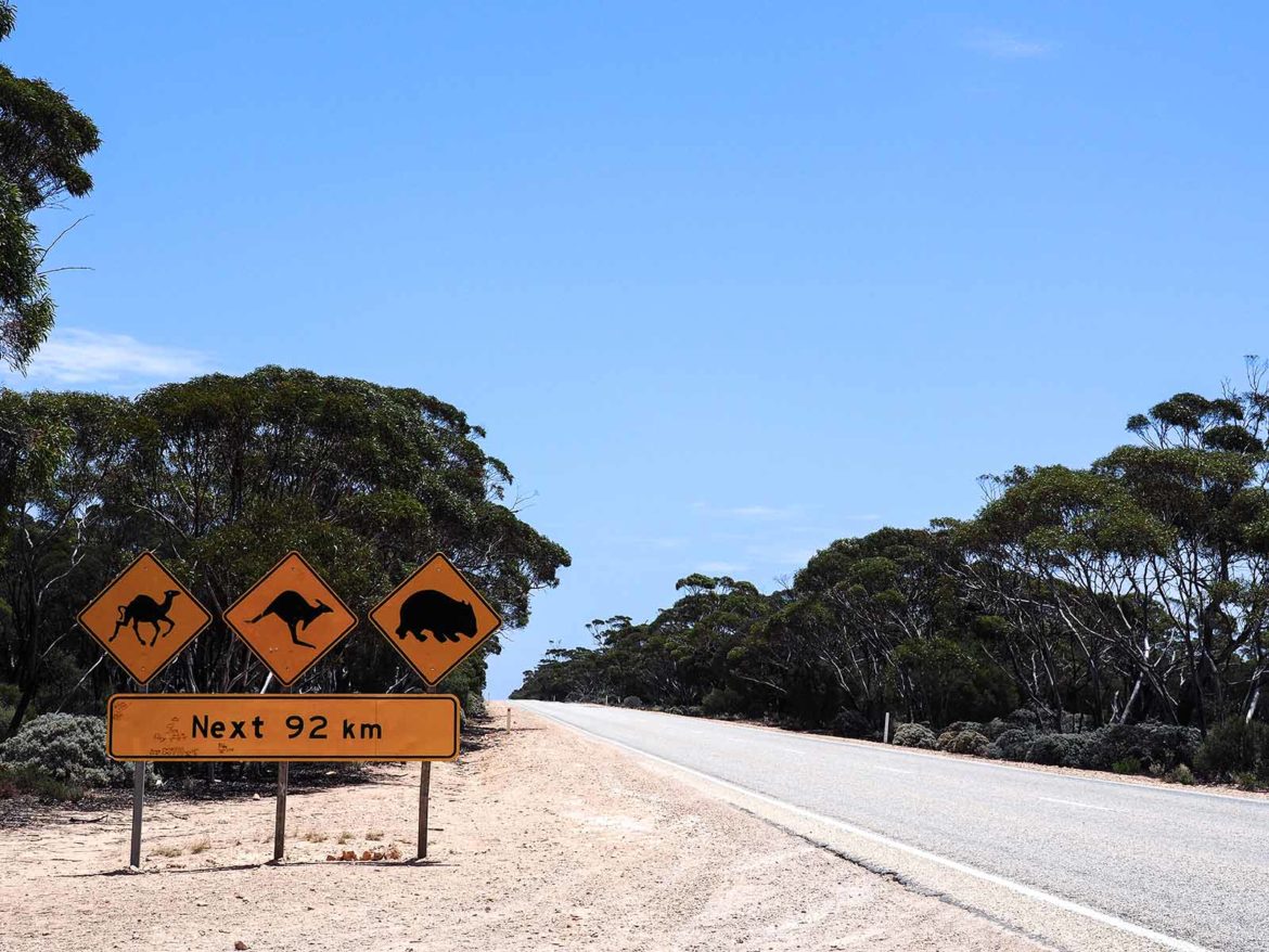 New Years’ in Australia