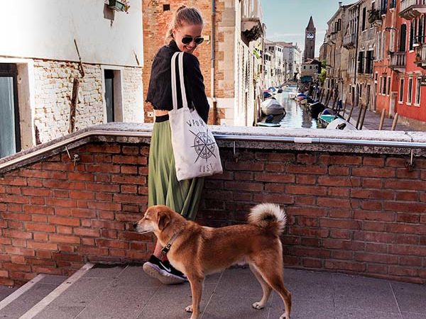 While walking through Venice, we were greeted by a cute dog. If you have not travel the Venice yet, you should!