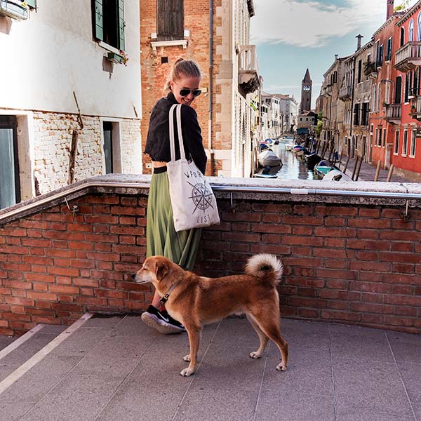 While walking through Venice, we were greeted by a cute dog. If you have not travel the Venice yet, you should!