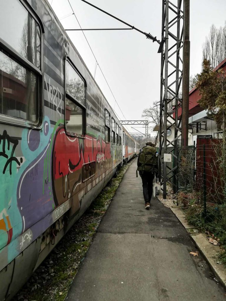 Long train stretching to the background. On the right side a person walking next to the train.