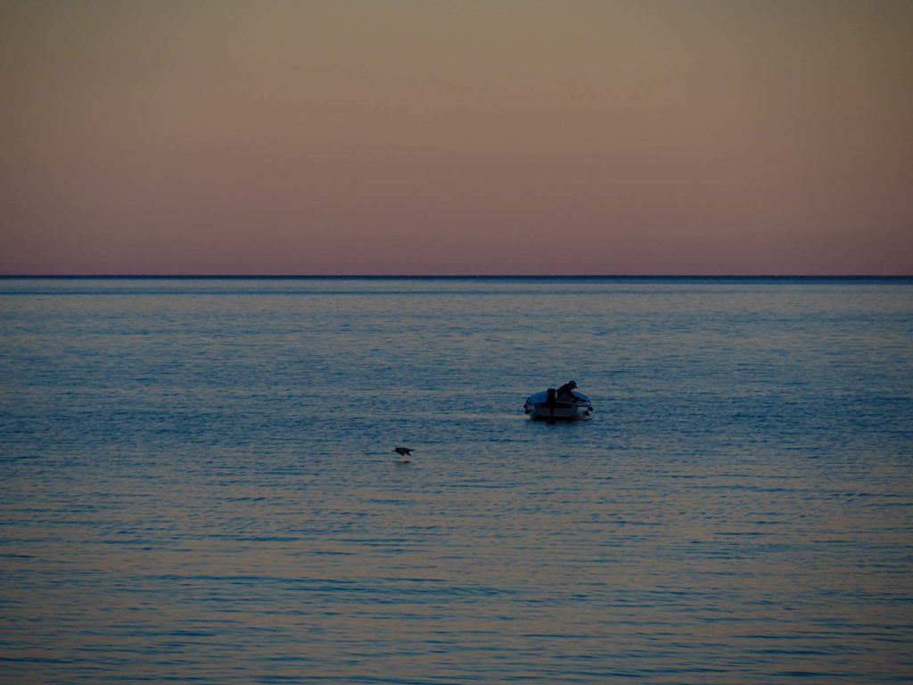 The sea in orange and red sunset light. In the middle of the picture a person on a small fishing boat and a bird flying over the sea.